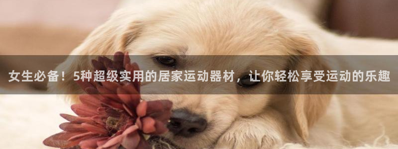 征途国际开户：女生必备！5种超级实用的居家运动器材，
