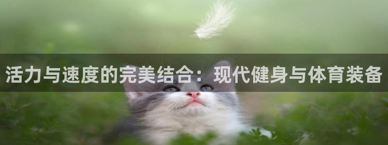 征途国际集团简介：活力与速度的完美结合：现代健身与体育装备