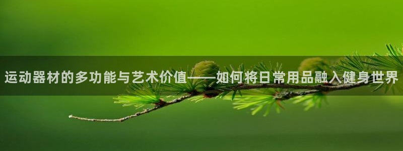 征途国际软件：运动器材的多功能与艺术价值——如何将日