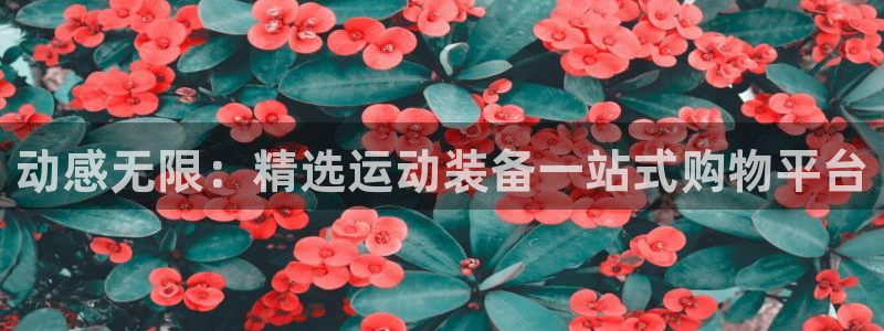 征途国际集团官网首页：动感无限：精选运动装备一站式购