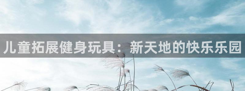 征途国际联系电话：儿童拓展健身玩具：新天地的快乐乐园