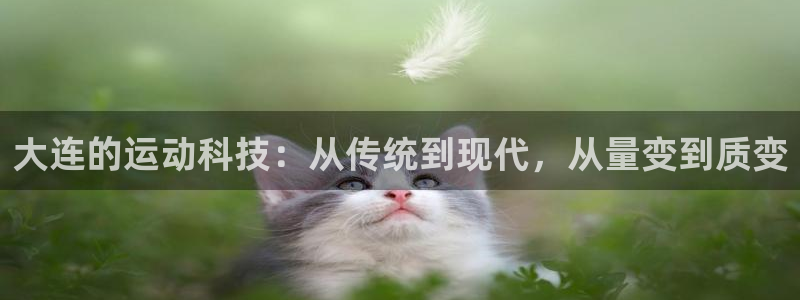 征途国际开户