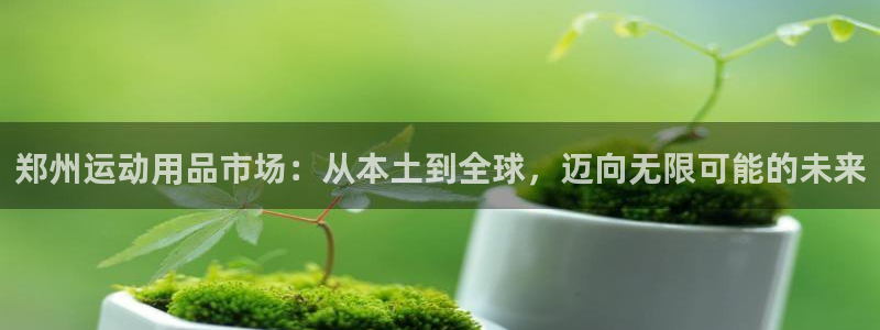 征途国际神州：郑州运动用品市场：从本土到全球，迈向无限可能的
