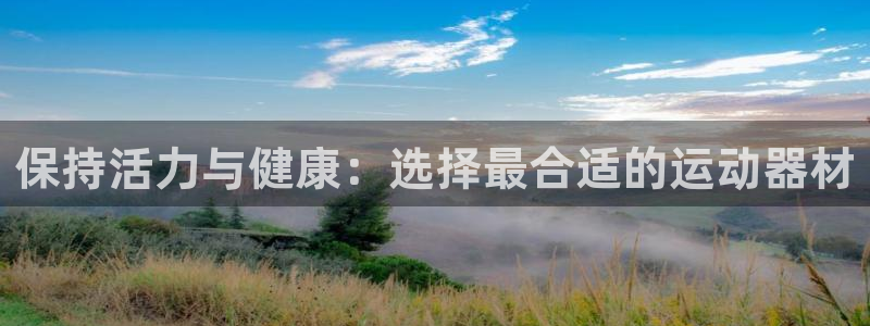 征途国际代理