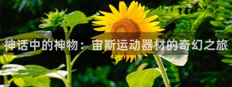 征途国际平台注册：神话中的神物：宙斯运动器材的奇幻之