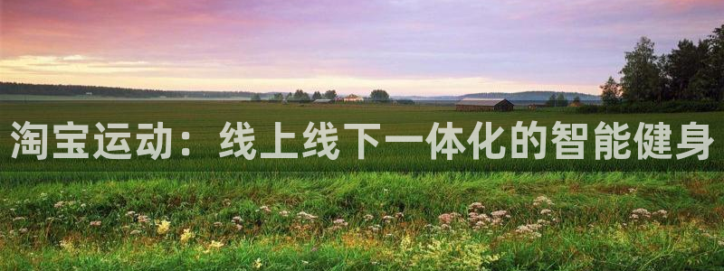 海南征途国际：淘宝运动：线上线下一体化的智能健身